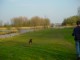 Thumbs/tn_DSC06261.jpg
