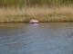 Thumbs/tn_DSC06282.jpg