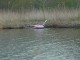 Thumbs/tn_DSC06289.jpg