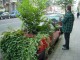 Thumbs/tn_DSC03683.jpg