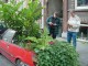 Thumbs/tn_DSC03685.jpg