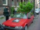 Thumbs/tn_DSC03686.jpg