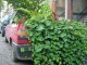 Thumbs/tn_DSC03692.jpg