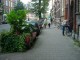 Thumbs/tn_DSC03694.jpg