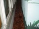 Thumbs/tn_DSC03661.jpg