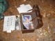 Thumbs/tn_DSC03668.jpg