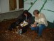 Thumbs/tn_DSC03674.jpg