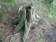 Thumbs/tn_DSC01857.jpg