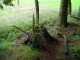 Thumbs/tn_DSC01858.jpg