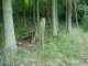 Thumbs/tn_DSC01859.jpg