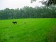 Thumbs/tn_DSC01864.jpg