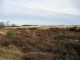 Thumbs/tn_IMG_0173.jpg