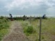 Thumbs/tn_DSC02154.jpg