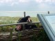 Thumbs/tn_DSC02156.jpg