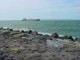 Thumbs/tn_DSC02186.jpg