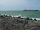 Thumbs/tn_DSC02188.jpg