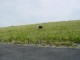 Thumbs/tn_DSC02190.jpg