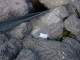 Thumbs/tn_DSC02191.jpg