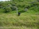 Thumbs/tn_DSC02212.jpg