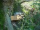 Thumbs/tn_DSC00569.jpg