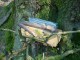 Thumbs/tn_DSC00570.jpg