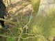 Thumbs/tn_DSC00573.jpg