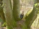 Thumbs/tn_DSC00575.jpg