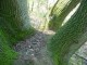 Thumbs/tn_DSC00577.jpg