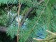 Thumbs/tn_DSC00578.jpg