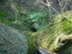 Thumbs/tn_DSC00579.jpg