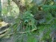 Thumbs/tn_DSC00582.jpg
