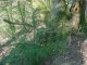 Thumbs/tn_DSC00583.jpg