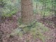 Thumbs/tn_DSC01220.jpg