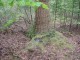 Thumbs/tn_DSC01221.jpg