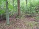 Thumbs/tn_DSC01222.jpg