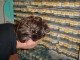 Thumbs/tn_DSC01231.jpg