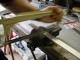 Thumbs/tn_DSC01242.jpg