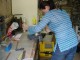 Thumbs/tn_DSC01245.jpg