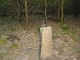 Thumbs/tn_DSC01258.jpg