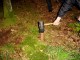 Thumbs/tn_DSC01286.jpg