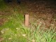 Thumbs/tn_DSC01287.jpg