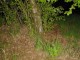 Thumbs/tn_DSC01290.jpg