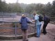 Thumbs/tn_011.jpg
