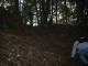 Thumbs/tn_015.jpg