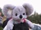 Thumbs/tn_021.jpg