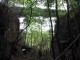 Thumbs/tn_028.jpg
