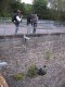 Thumbs/tn_034.jpg