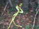 Thumbs/tn_037.jpg