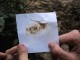 Thumbs/tn_040.jpg