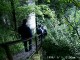 Thumbs/tn_99101005.jpg
